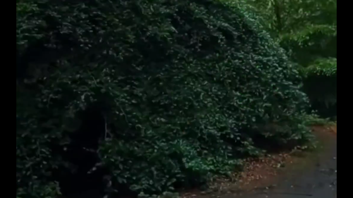 Feng Shui Treasure Land