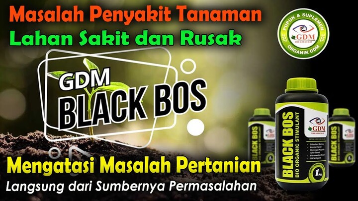 Pupuk Bio Organik Cair BLACK BOS
