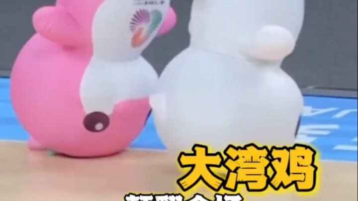 Gà Đại Loan chẳng có tí mùi công sở nào, chỉ toàn quyết tâm khuấy đảo cả khán phòng. Người đầu tiên 