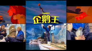 أعد إنشاء فيلم The Lion King، ولكن مع البطاريق🐧