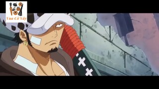 Vua Cờ Vây - Sengoku - Đảo hải tặc #anime #schooltime