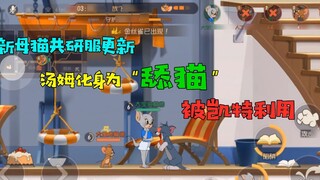 Game seluler Tom and Jerry: Kucing betina baru Kate diperbarui di server penelitian bersama! Tom men