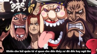 Bí Ẩn Về Thân Phận Thật Sự Của Shanks_ - Vai Trò & Cấp Độ Sức Mạnh