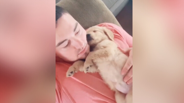 A Happy Guide to Dog Ownership!!