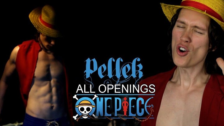 One Piece OP Complete Works [Norwegian Pellek | Chinese subtitles]