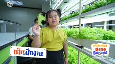 หนูทดลอง Little Explorers น้องชาบูทำอาชีพ นักนวัตกรรมการเกษตร วันอาทิตย์ที่ 17 ส.ค. เวลา 09.45 น.