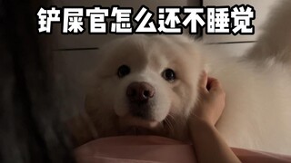 Chủ nhân sao vẫn chưa ngủ vậy!