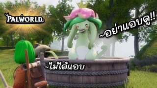 PalWorld : แอบดูผู้สาว  EP.2