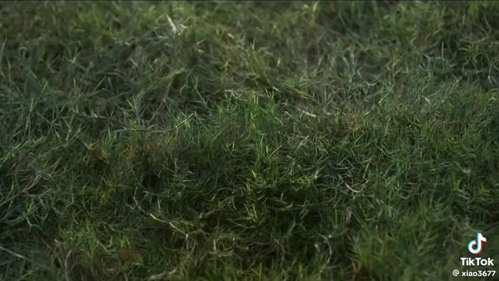 mysterious lotus casebook#mysteriouslotuscasebook