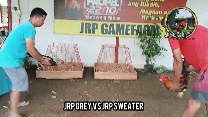 JRP Sweater and JRP Grey!