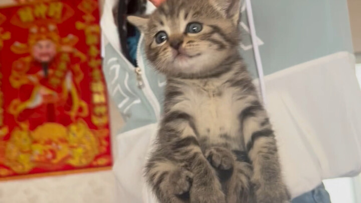 ตัวน้อยน่ารัก