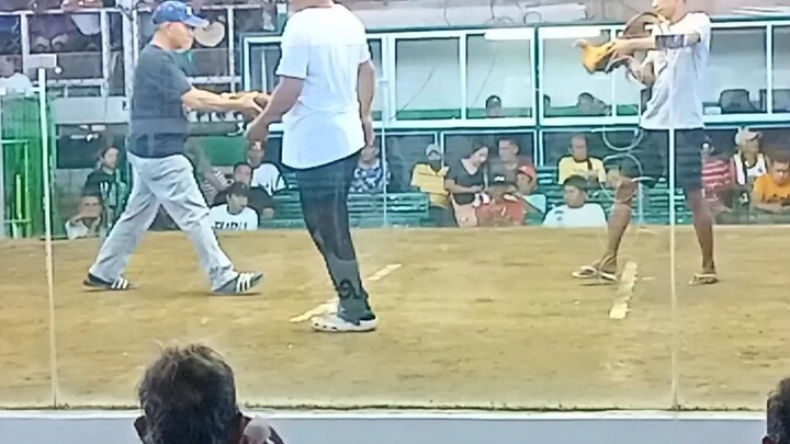 2 hits Ulutan - Sweater cross - win