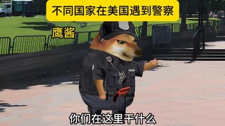 不同国家在美国遇到警察