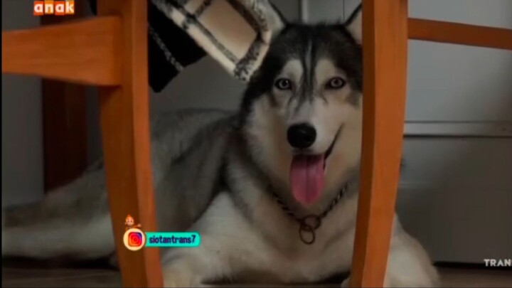 Si Otan [Rerun] (Dunia Anak) 08/10/2026