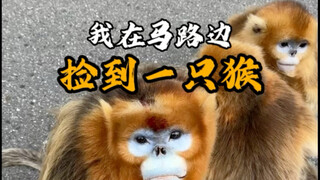 The Great Sage could not be sealed in Xiaoxitian, and the Fighting Buddha appeared in the Eight Hund