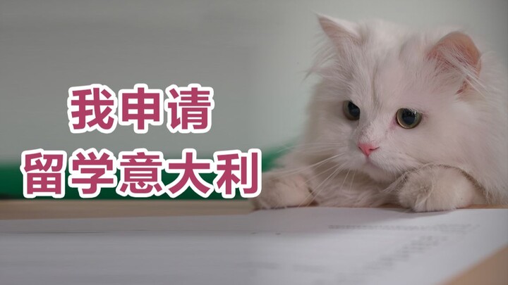 等我从意大利回来，我就是意短了