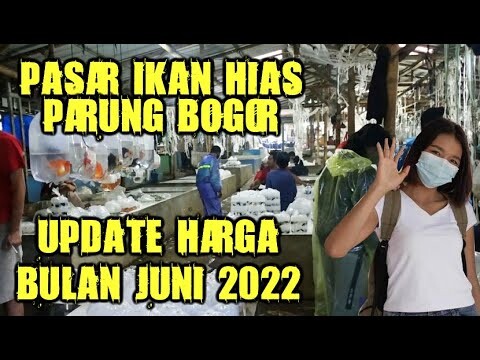 PASAR IKAN HIAS PARUNG BOGOR