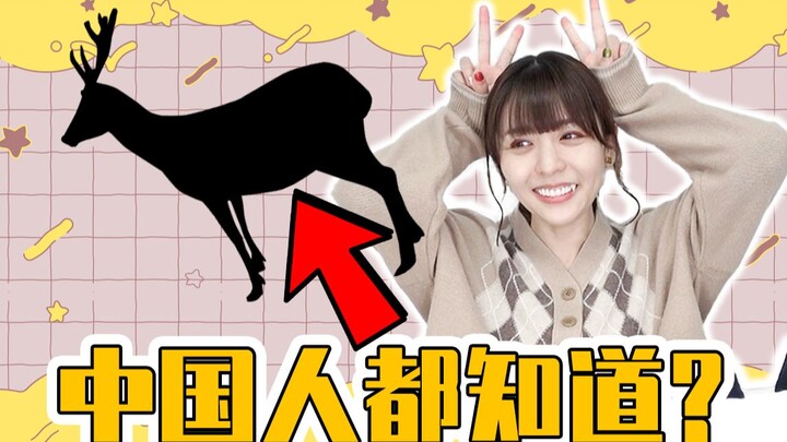 [Aki Toyosaki] There Are Major Taboos When Gifting?! Japanese People Are Stunned by Common Chinese P