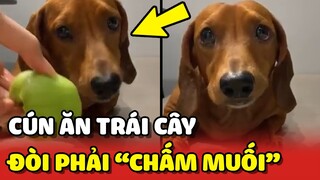 Cười ngất với chú chó có phong cách ăn TRÁI CÂY CHẤM MUỐI cực độc lạ😂 | Yêu Lu