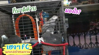 EP.193 พี่เฮงเสียงสอง "มองไร??" (เลียนเสียงหม่าม้าแฟนอาเจ็ก)
