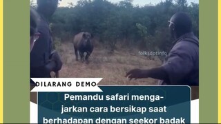 Dalam sebuah video yang viral di media sosial pada Mei 2025, seorang pemandu safari memperlihatkan k