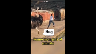 ฮาๆ
