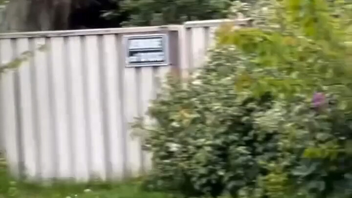 สวัสดี ฉันคือหมา