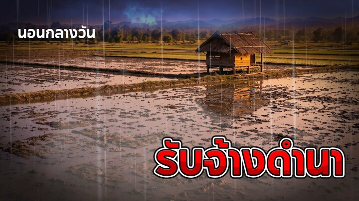 รับจ้างดำนา | นอนกลางวัน