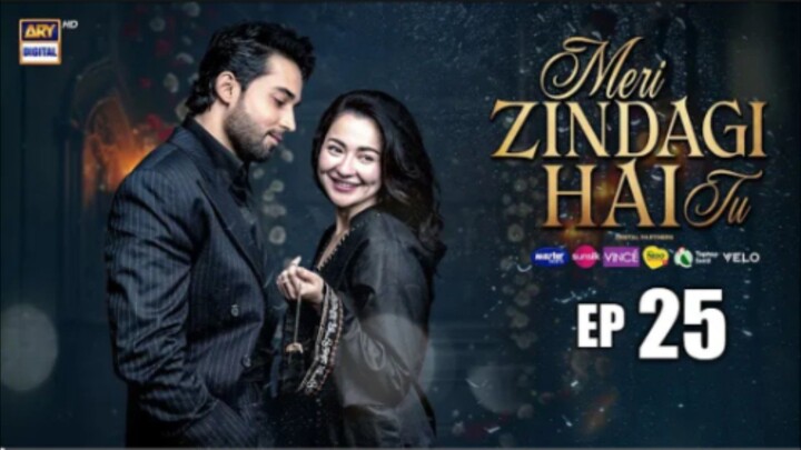 Meri Zindegi Hai Tu Episode 25