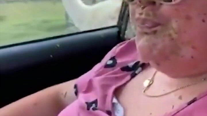 What’s it like getting spit in the face by an alpaca...?