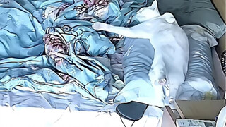 出门前说好的！！干啥都行，不要！！睡！！我枕头！！！