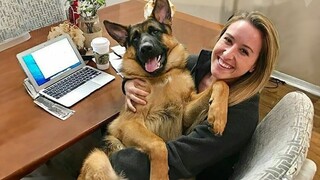 When a dog is the joy of your life 🤣 Funny Dog and Human