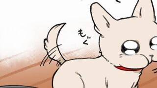 【Episode 13】Satu-satunya yang terluka di keluarga ini adalah Chihuahua!