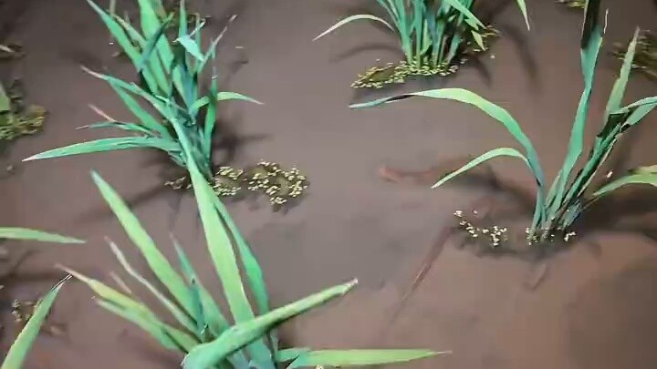 The fish farm used to catch two kilograms of yellow eels.