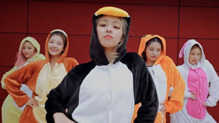 Versi hadiah penggemar tarian ruang latihan untuk lagu baru ITZY, Icy, sangat menggemaskan!