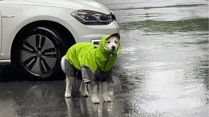 Hal yang paling dibenci Chen Bella — Jas Hujan