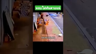 หลบไม่ทันตายแน่