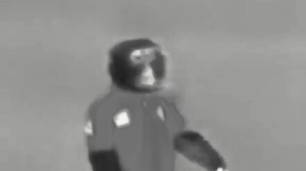 القرد الذي تم توظيفه لتقديم المناشف للرياضيين تكاسل في اليوم الأول.