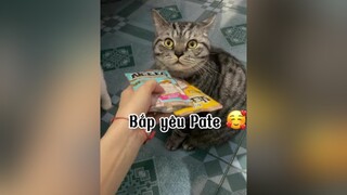 Rồi sao giảm kg hả   😒😒😒 mèo cat