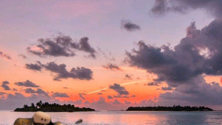 acoustic guitar (chainsaw man)