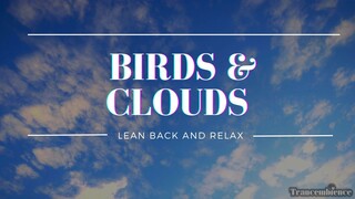 Gentle Birds & Clouds: Relaxing Sky Ambience