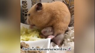 อาการหิวเป็นยังไงน้าา