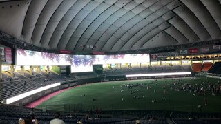 ジャイアンツ花火大会アフターゲーム