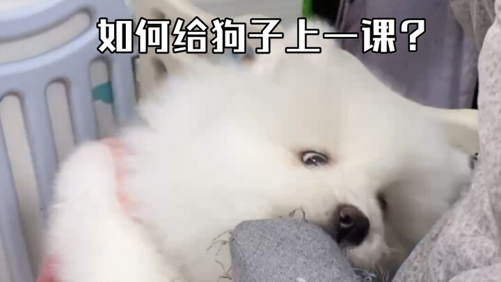 [Duckie] Fishing? Law Enforcement? This 2-month-old puppy will never tear the house apart again!