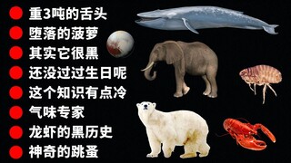 [Fun Trivia Guy] Trivia That “Very Few People” Know