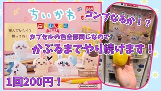 【ちいかわ】はさむんです。でらっくす ガチャガチャ カプセル全部黄色！狙えないからとりあえず被るまでやり続けます！chiikawa ”gacha" capsule toy machine