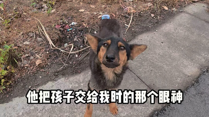 I’m not sure if dogs can understand human speech, but that day, when she handed the baby to me, I un