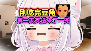 北方人的噩梦！豆角！