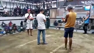 silang cockpet arena,,,second ni gilmore win....