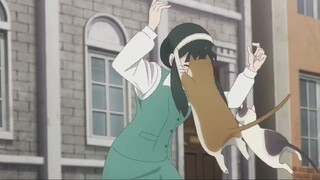 Yor gets attacked by cats | Spy x Family Season 2 Funny Moment